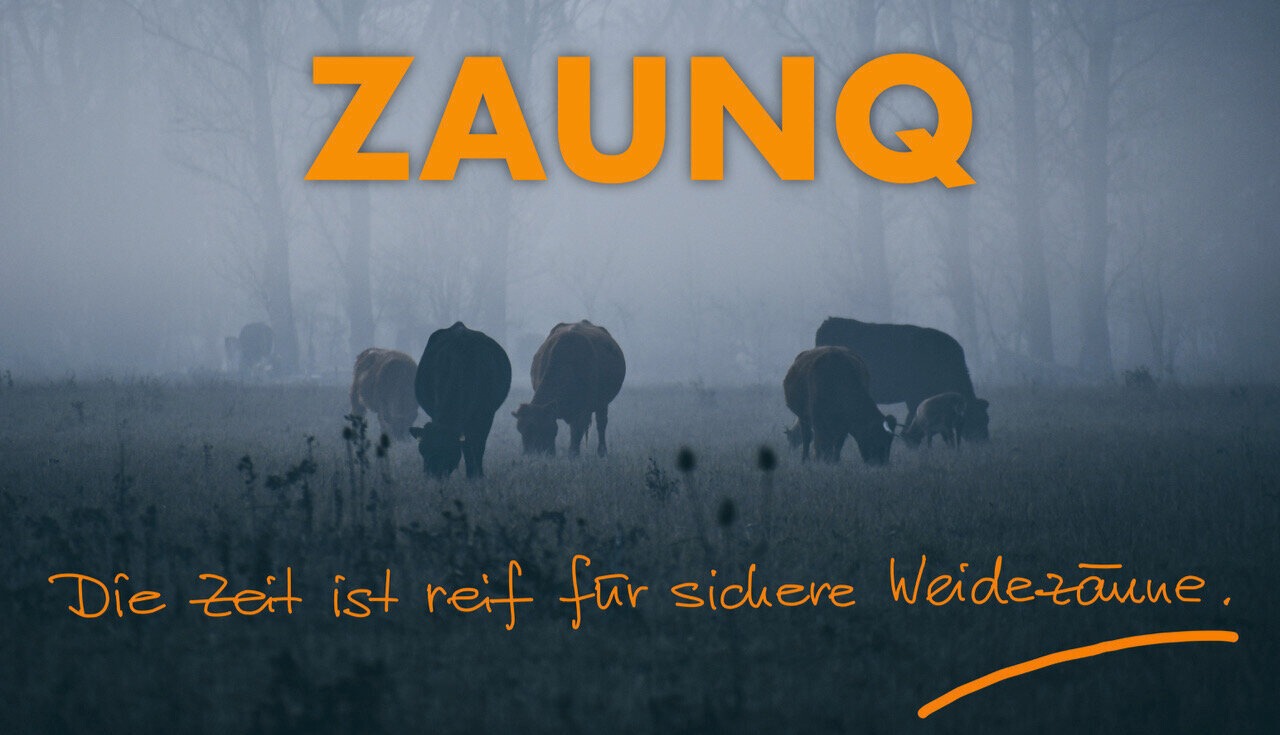 ZaunQ Banner