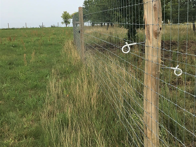Wildschweinschutz ZaunQ von Tornado wire