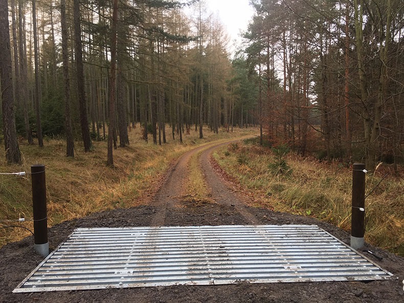 Viehrost für Projekt Waldweide Uhlstädter Heide