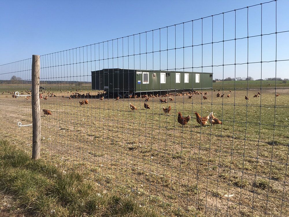 Montage eines Knotengeflecht-Zauns