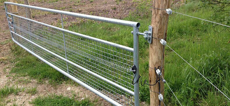 Elektrozaun zur Abwehr von Wölfen