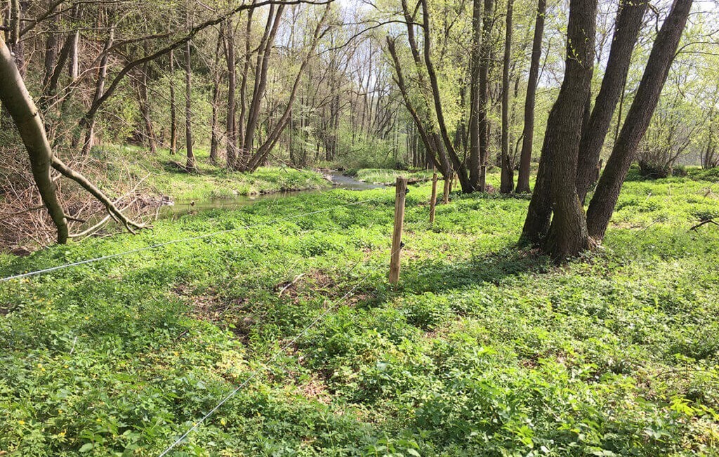 Zaun vor Flussquerung im Weideatal in Thüringen