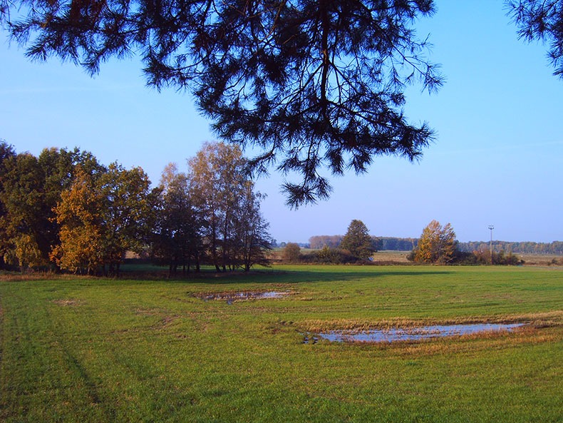 Landschaftsfläche Zaunbau Planung