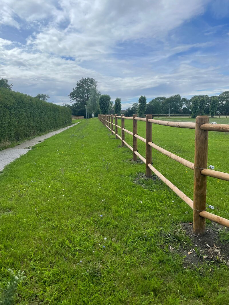 Fertig gebauter Koppelzaun