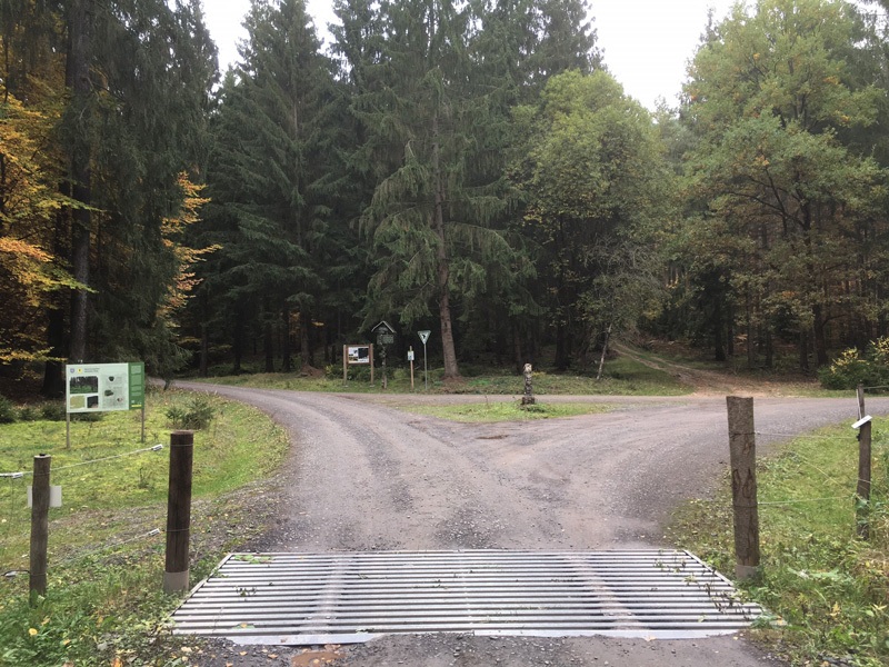 Weiderost im Forstzaun