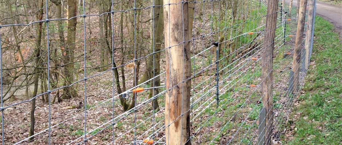 Wildschutzzaun ZAUNQ