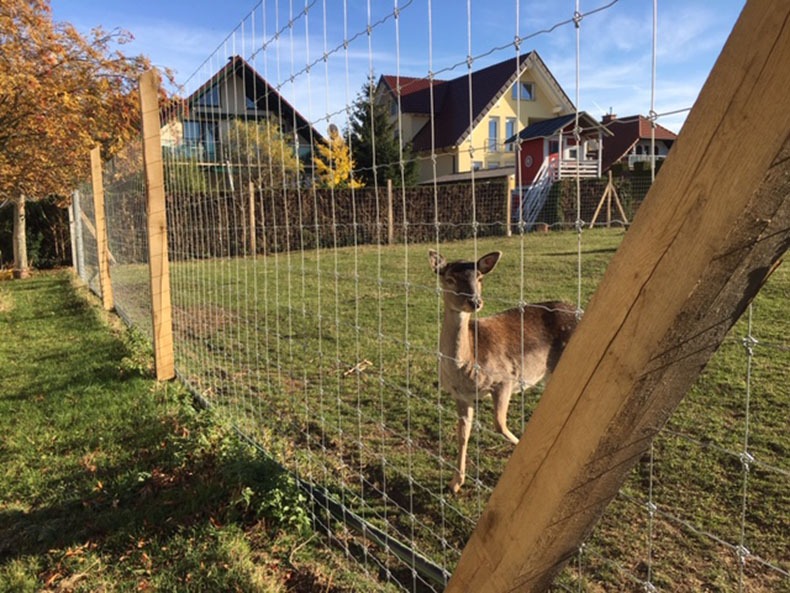 Wildgehege Zaun