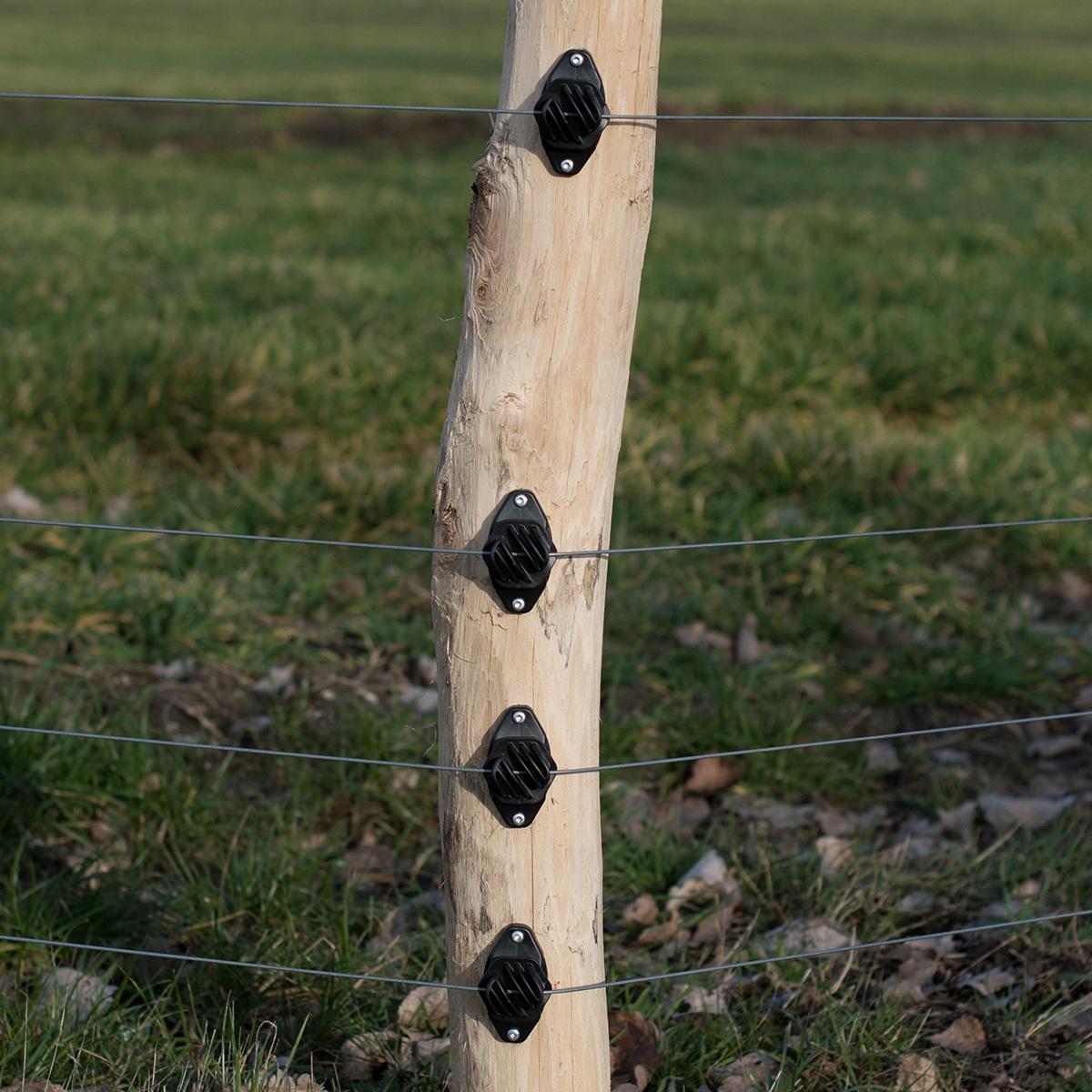 Festzaun Isolator
