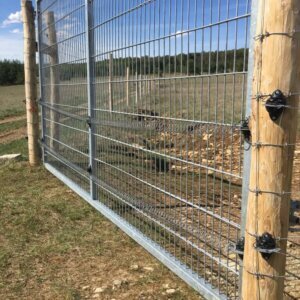 Weidezauntor für Schafe