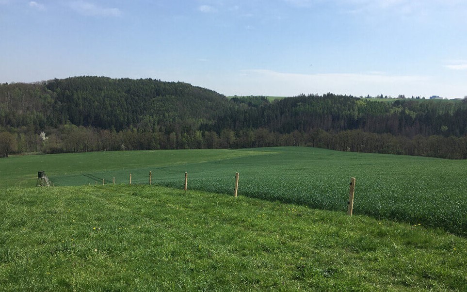 Elektrozaun für Projekt Auenweiden