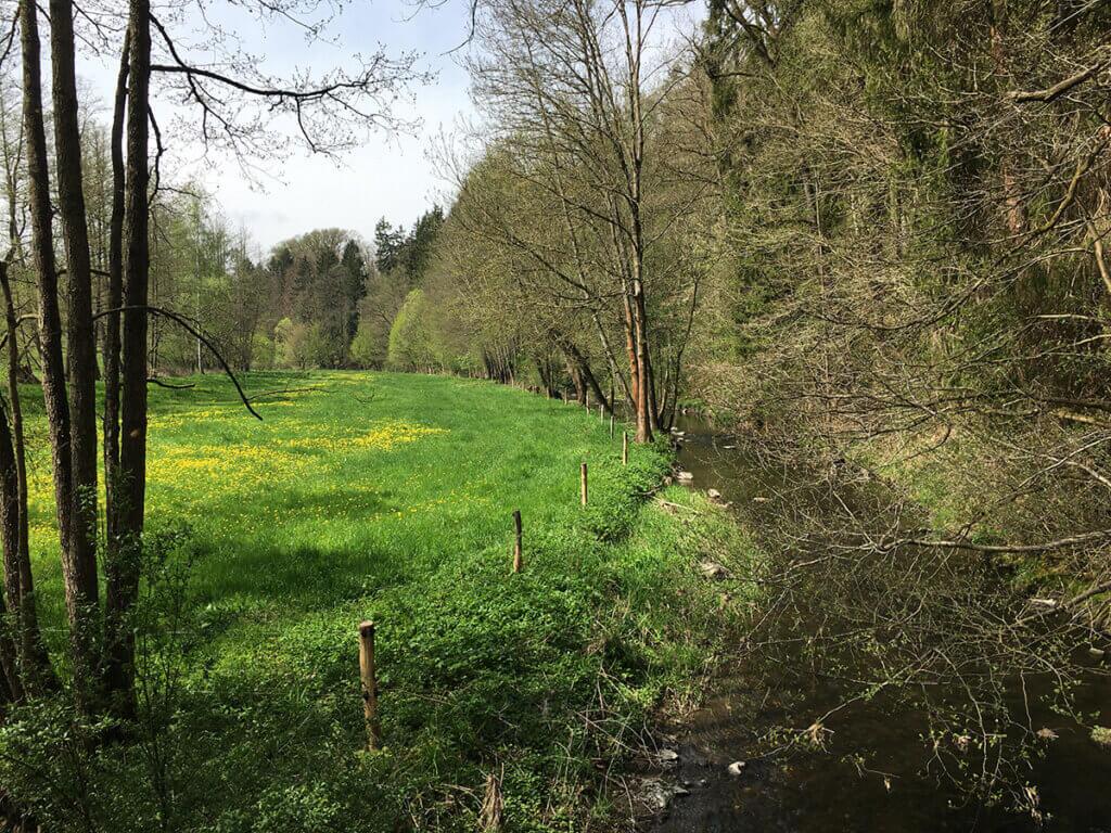 Weidezaun am Fluss
