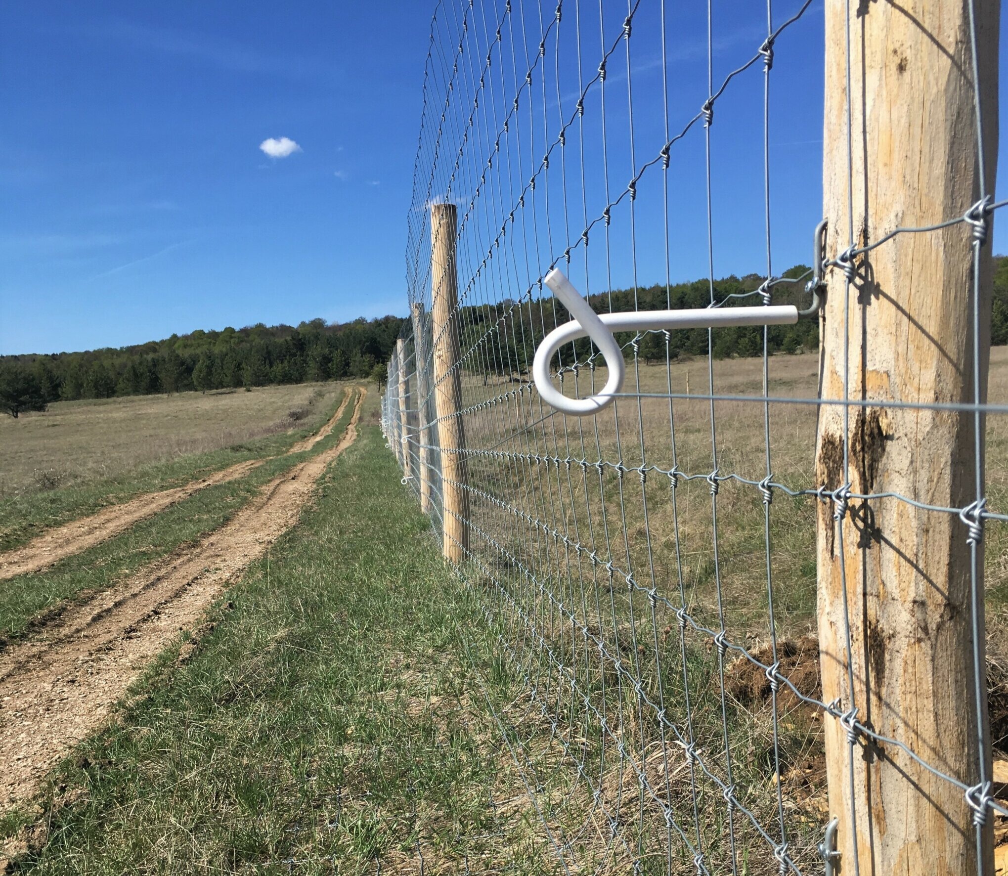 Wildschweinschutz ZaunQ von Tornado wire