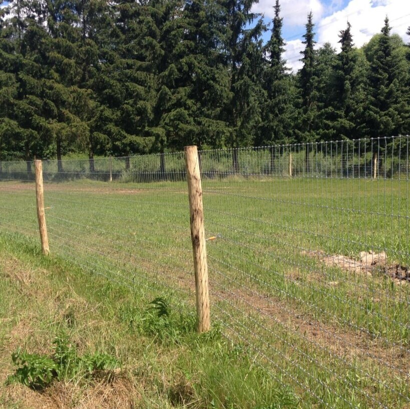 Gartenumzäunung für Hund