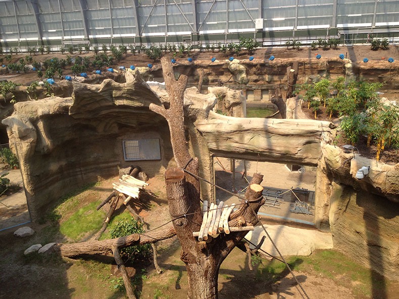 Wildgehege für Zoo
