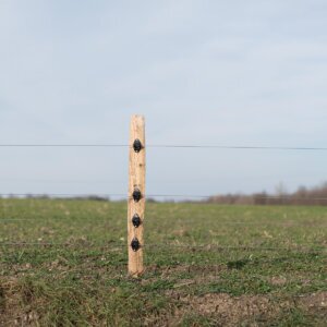 Robinienpfahl Ø 8/10 x 1,80m