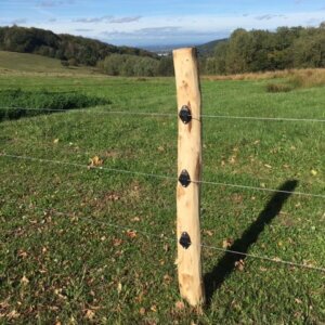 Robinienpfähle Ø 10/12 x 1,80m