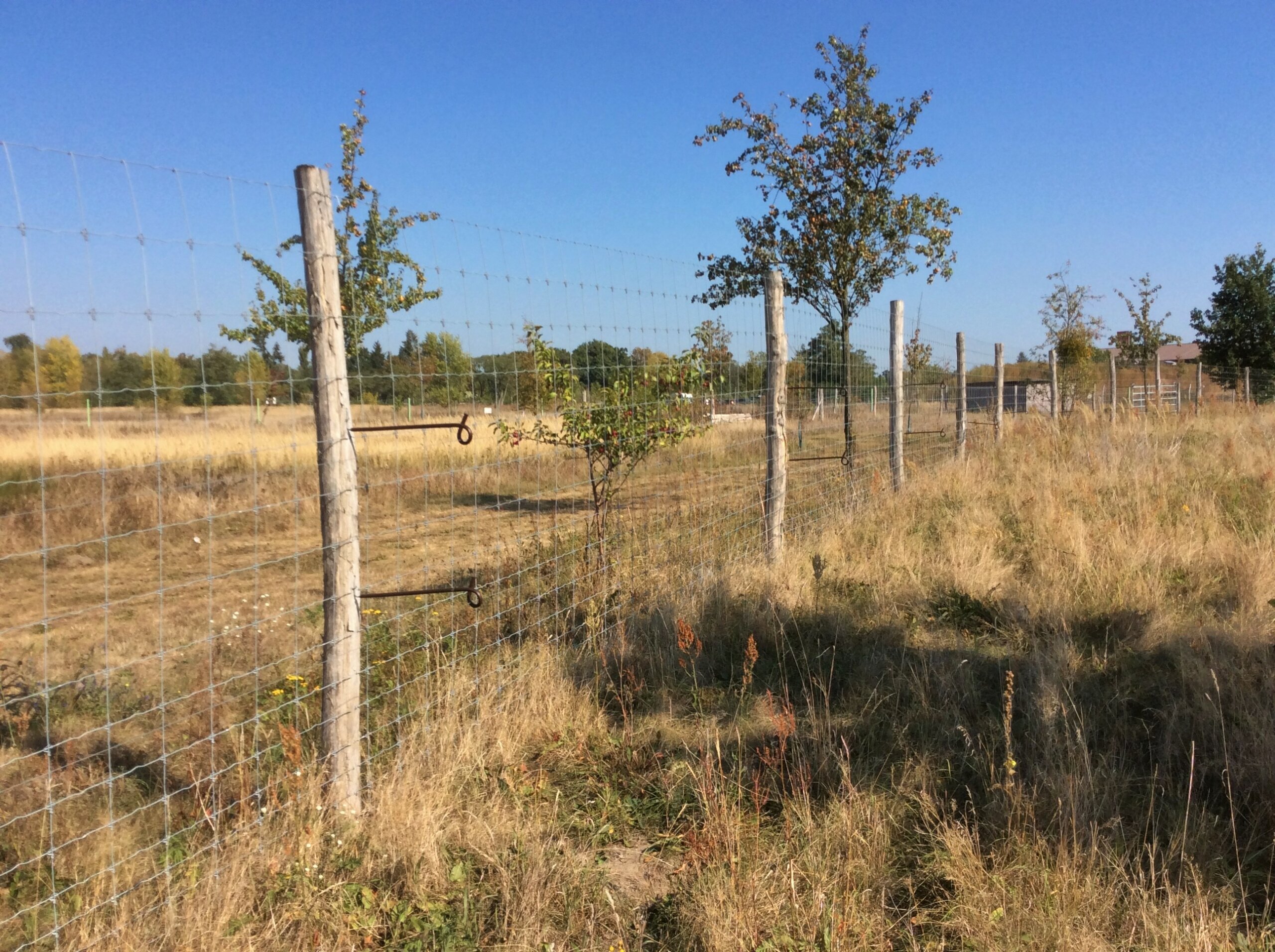 Wildschutzzaun Außengehege