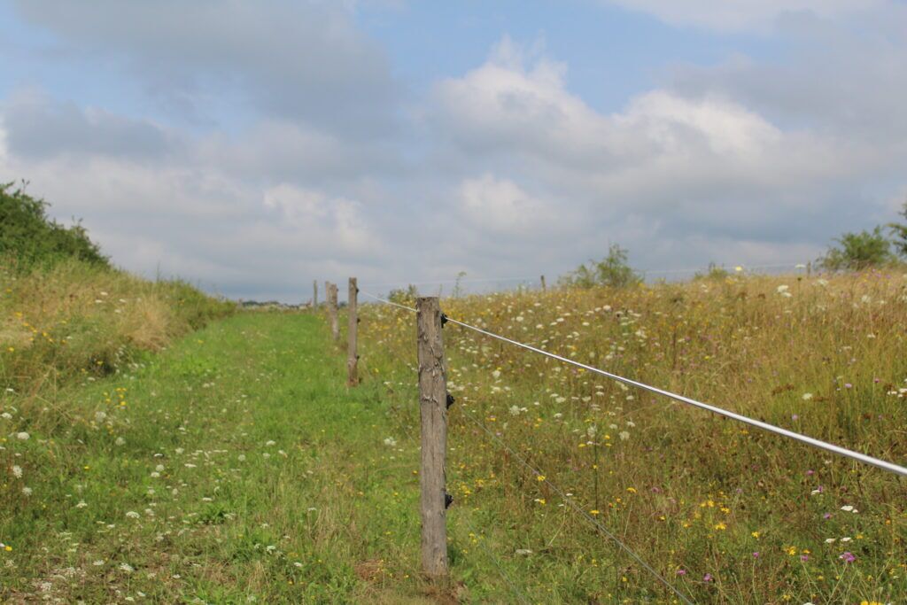 Pferdezaundraht_ZAUNQ