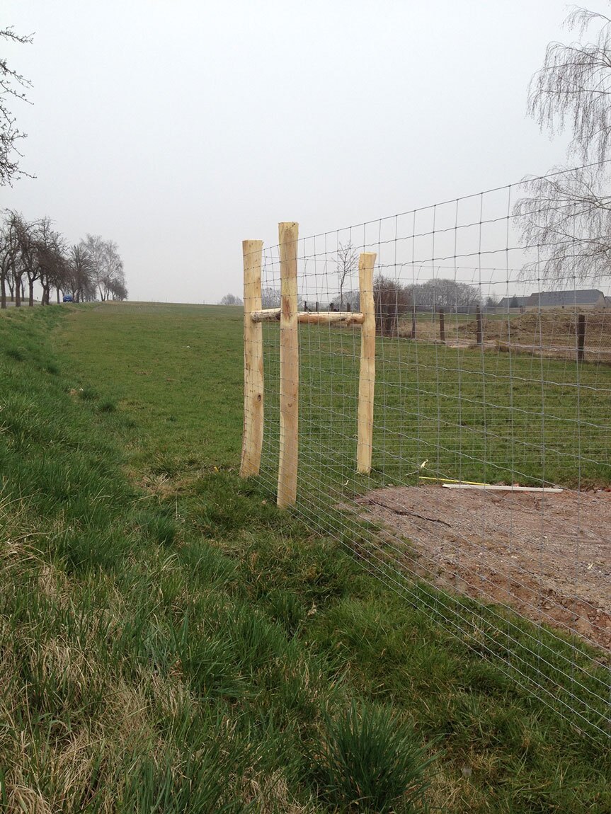 Wildzaun für Damwild Zaunund Sikawild