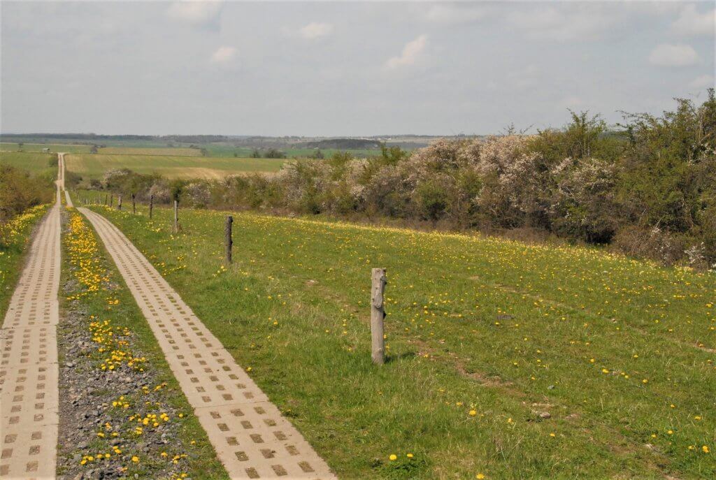 Kontrollweg