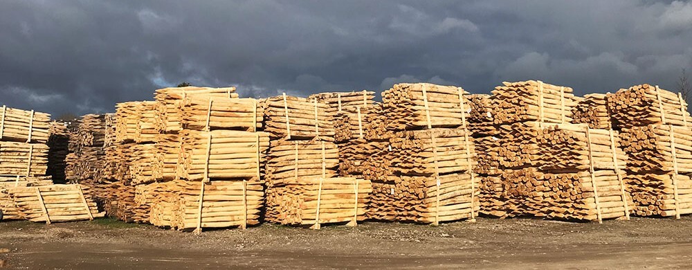 Holzstapel Pfähle