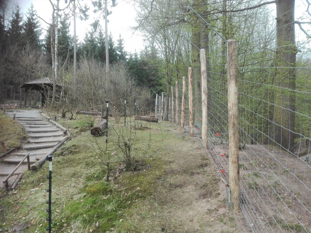 Wildzaun in Zooanlagen
