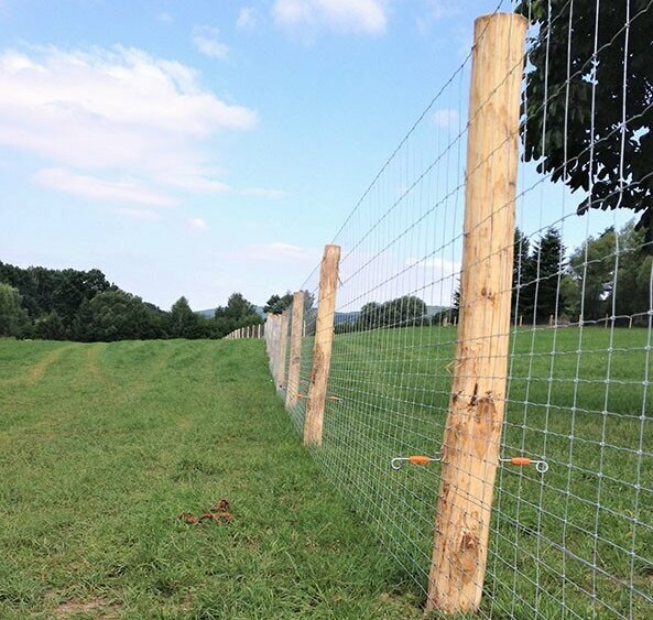 Holz für Weidezaun
