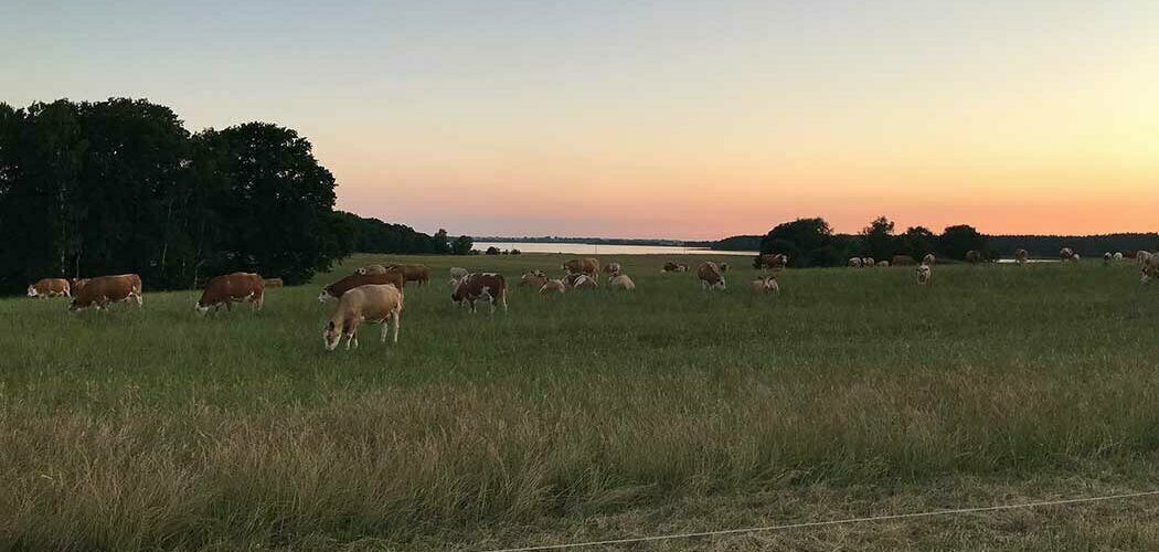 Branche Landwirtschaft ZAUNQ