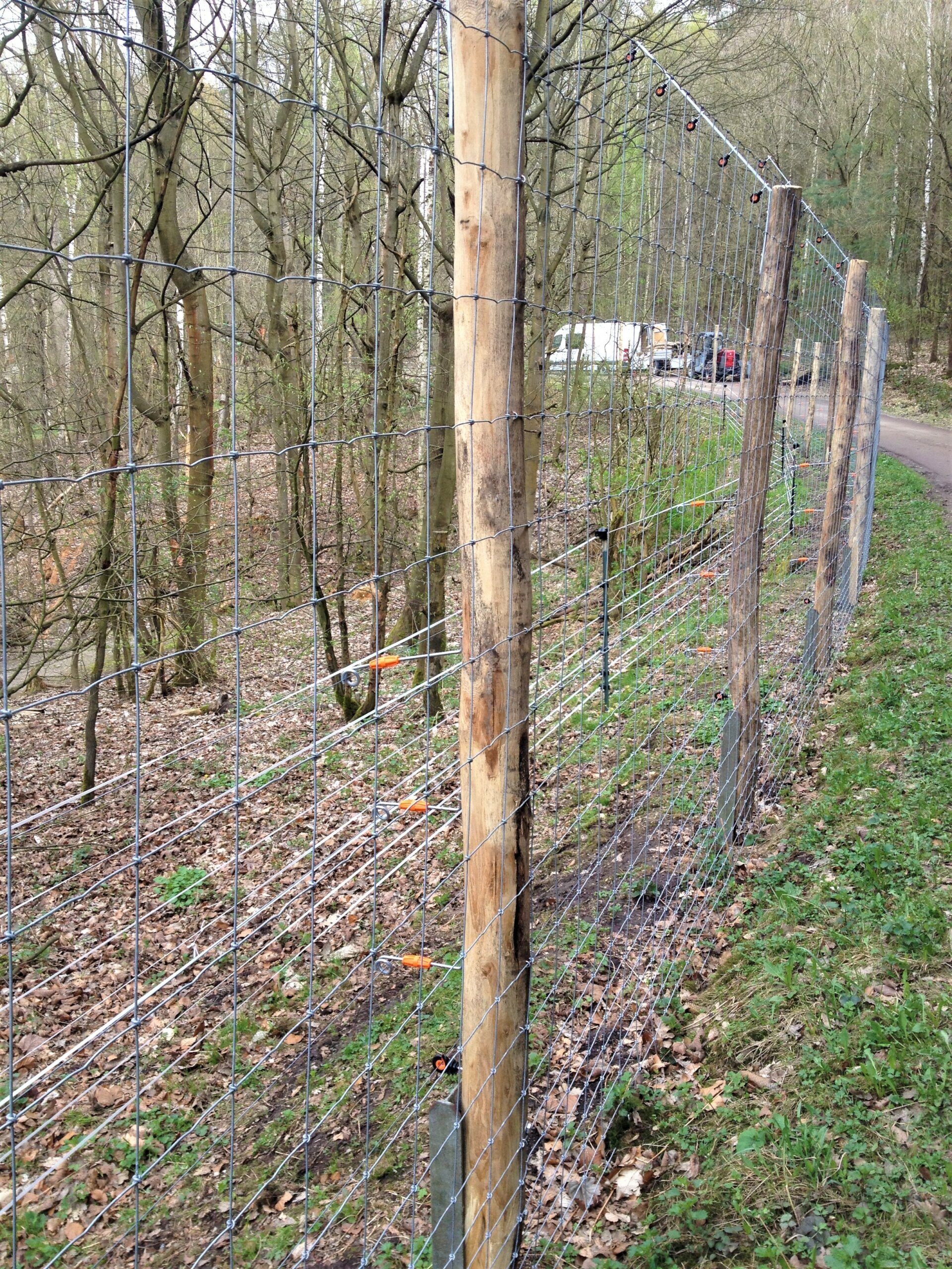 Wildzaun im Wald