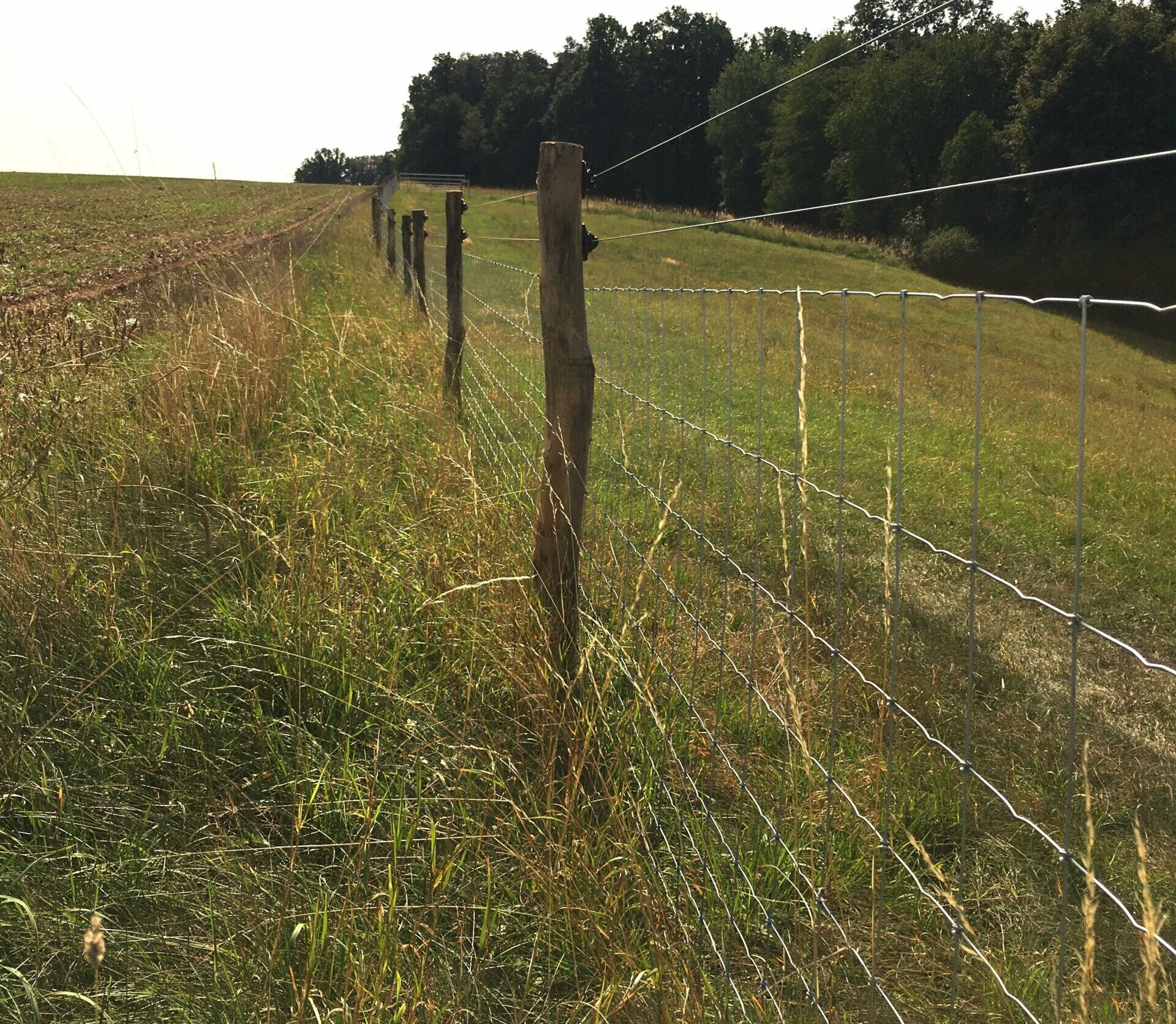 Merkmale Wildzaun