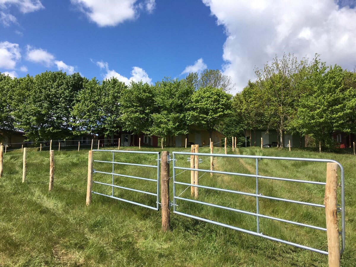 Weidetor Stahl kaufen – 2 Meter bis 3 Meter